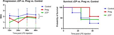 The results of a unique dietary supplement (nutraceutical formulation) used to treat the symptoms of long-haul COVID